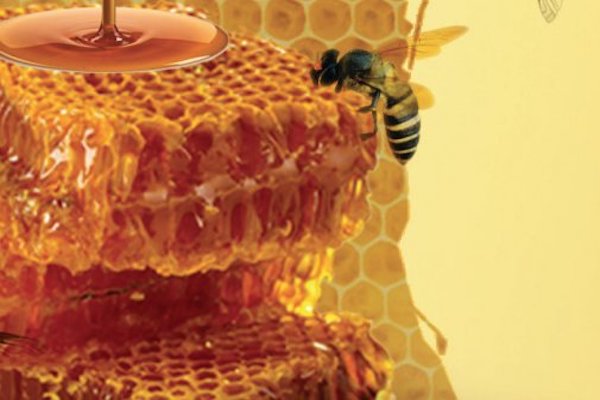 Miel. Foto: Especial