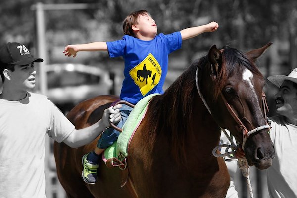 Caballo. Foto: Especial