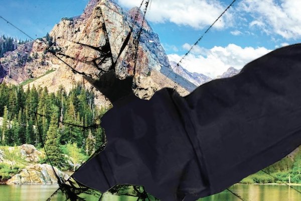 Cibercriminales. Foto: Especial