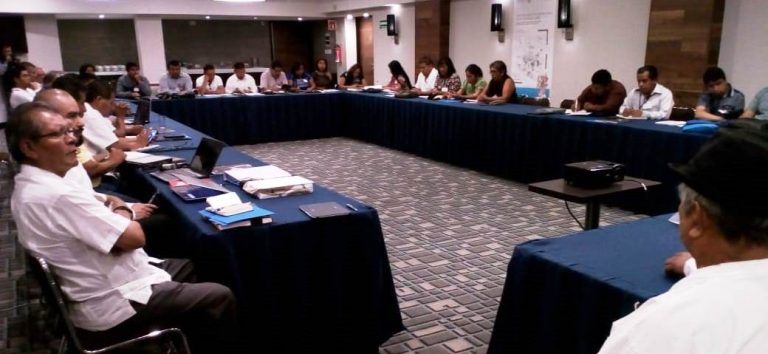 Imagen ilustrativa tomada del Twitter de @INALIMEXICO