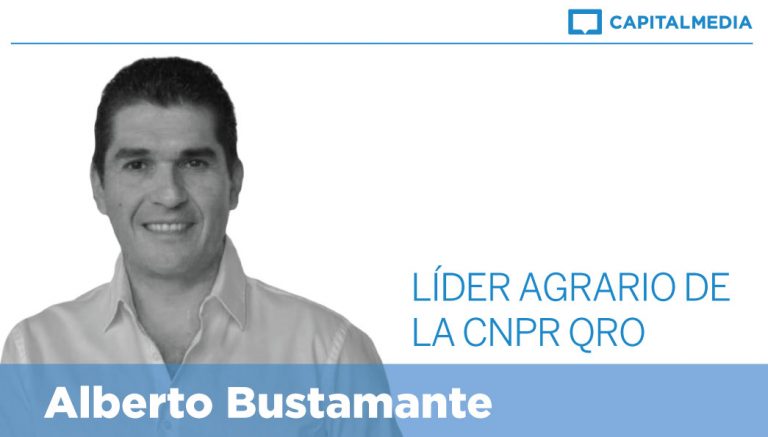 C-Alberto_Bustamante