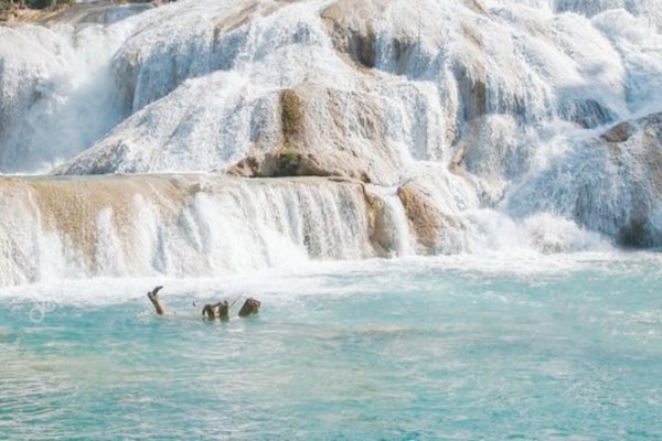 Agua. Foto: Especial