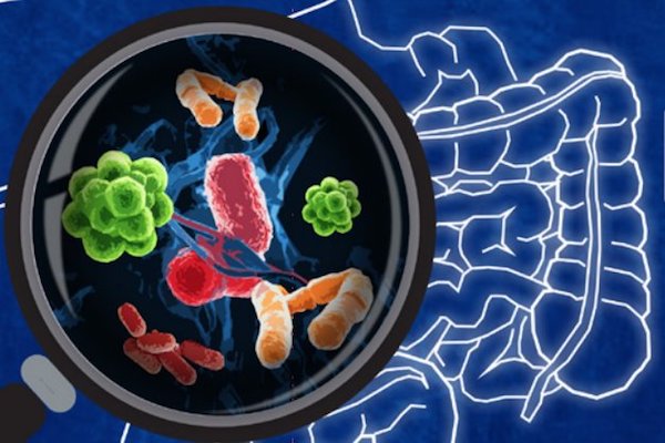 Microbiota intestinal. Foto: Especial