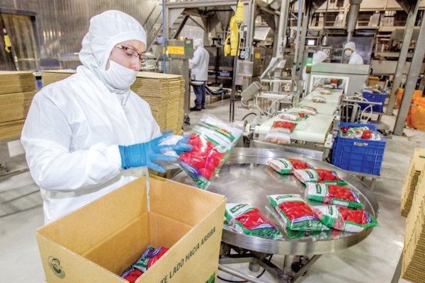 Empleado. Foto: Cortesía