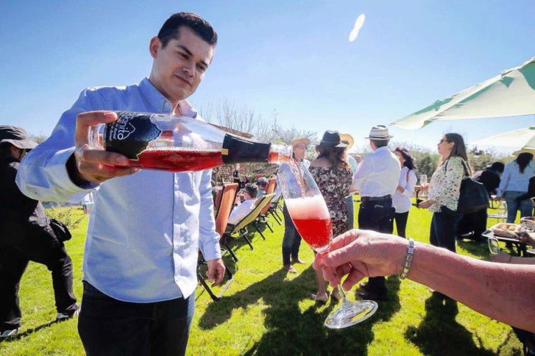 Foto tomada de la página  oficial del viñedo