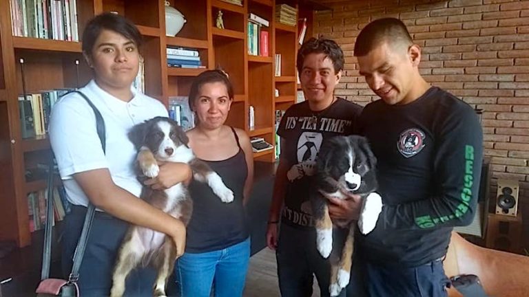 Foto: Facebook @BomberoselMarque5