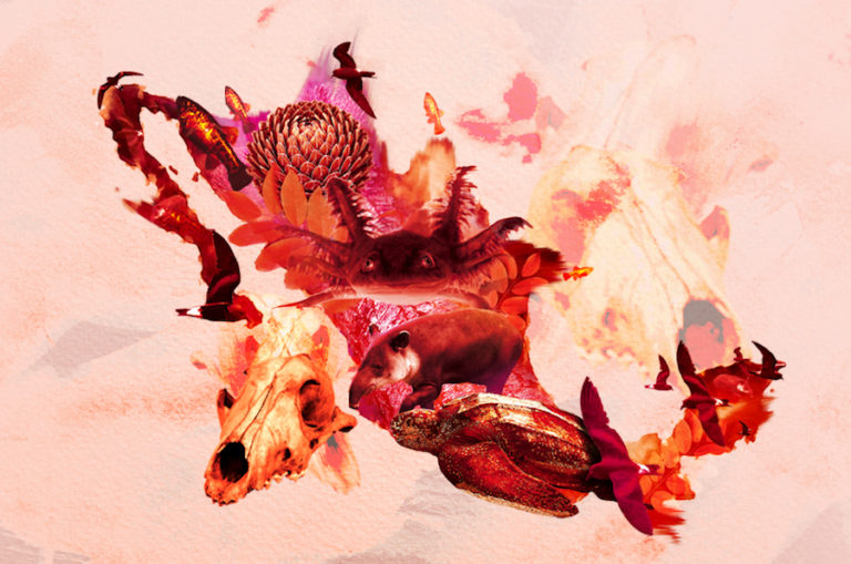 Foto: Reporte Índigo