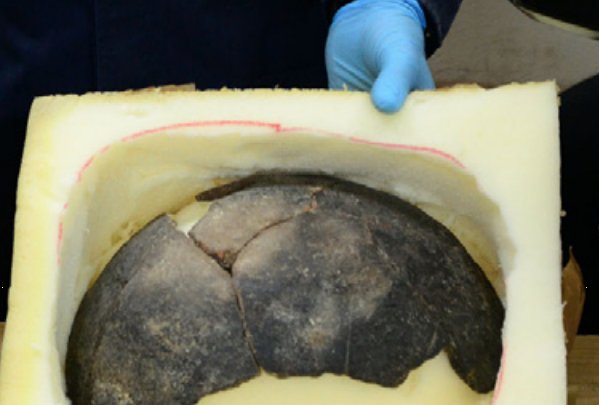 Hueso. Foto: Notimez