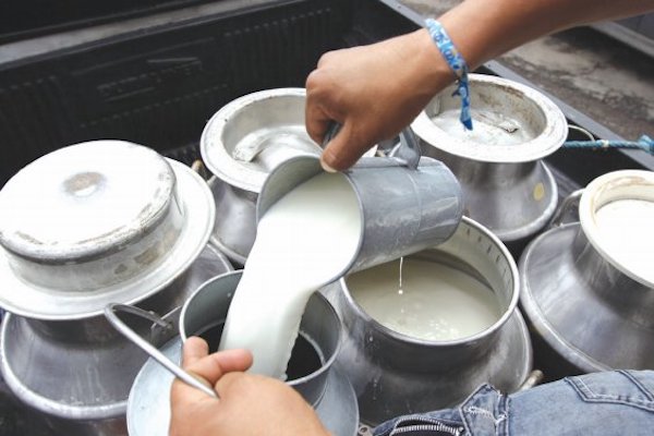 Bbebida. Foto: Cuartoscuro