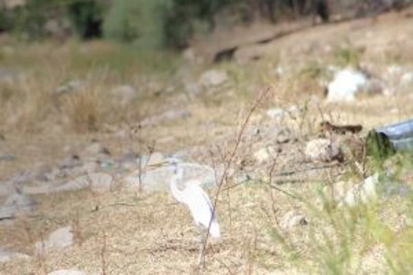 Calentamieno. Foto: Cortesia