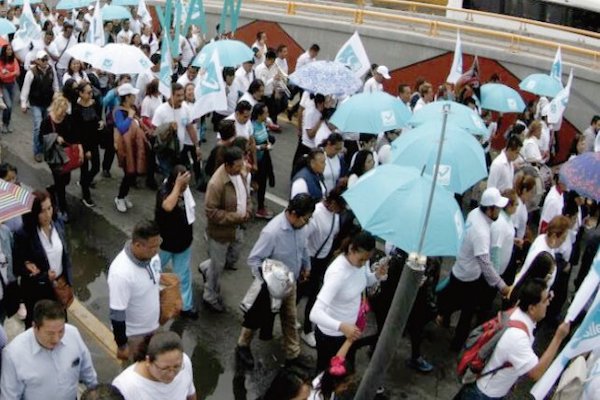 Panal. Foto: Especial