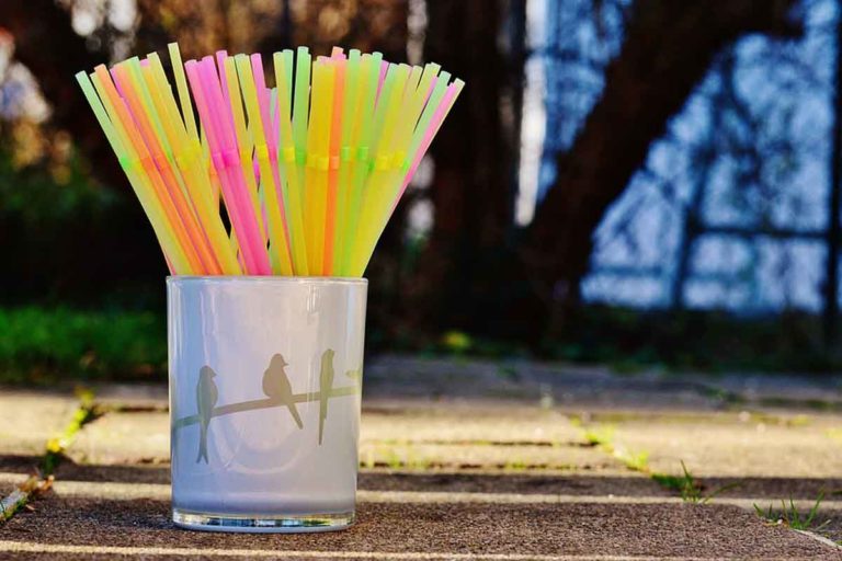 Imagen para ilustrar Pixabay