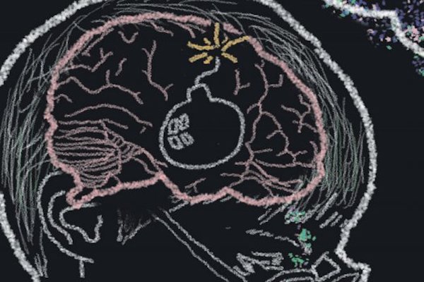 Salud. Foto: Especial