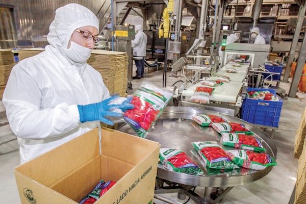 Empleado. Foto: Cortesía