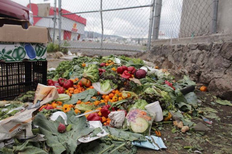 Bancos de Alimentos México