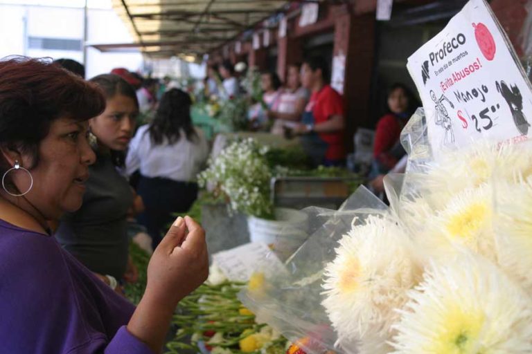 Foto: Moisés Pablo/Cuartoscuro
