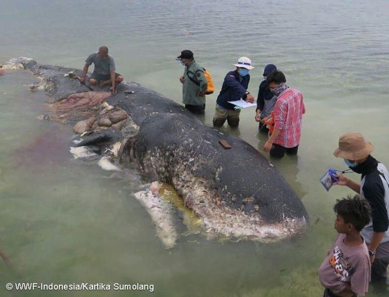 Foto tomada de Twitter