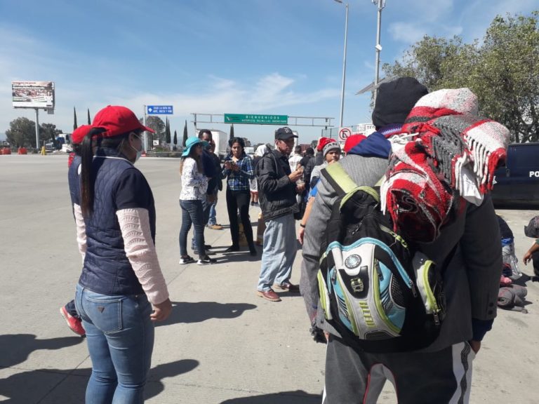 Migrantes en palmillas/ Foto: Especial