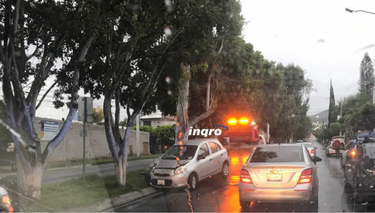 WhatsApp Image 2019-08-26 at 10.24.49 AM