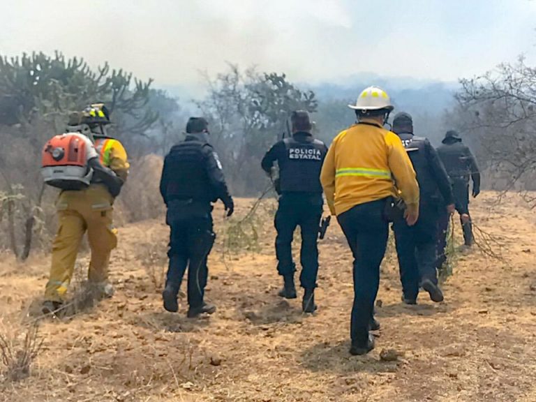 La medida entrará en vigor el próximo año