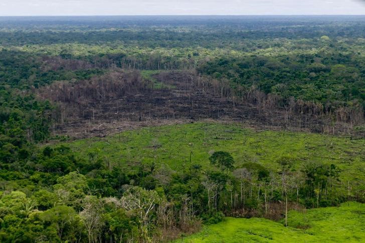 LYNXMPEG681IN.jpg,A wooded area with deforestation is seen in the Serrania del Chiribiquete, Colombia April 28, 2019. Courtesy of Colombian Presidency/Handout via REUTERS ATTENTION EDITORS - THIS IMAGE WAS PROVIDED BY A THIRD PARTY; Crédito: HANDOUT, Reuters