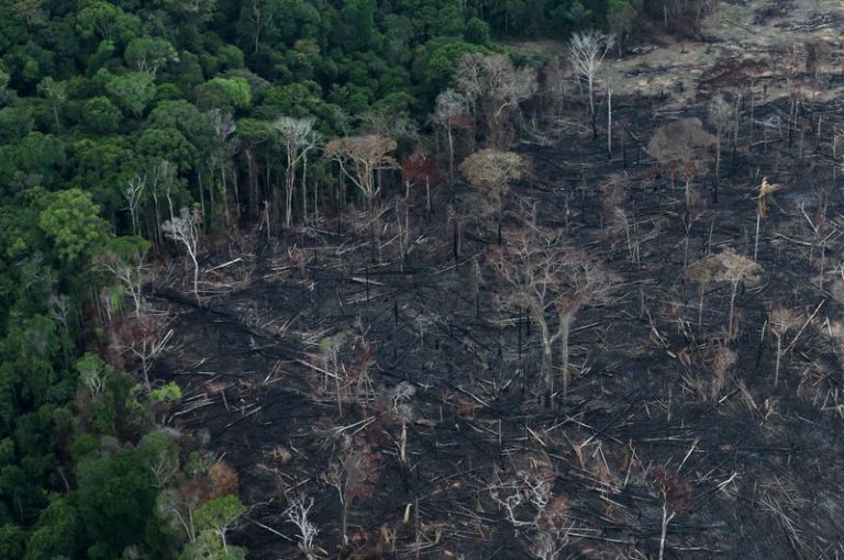 LYNXMPEG6914K.jpg,FOTO DE ARCHIVO: Una vista aérea de una extensión de la selva amazónica después de que fue despejada por agricultores en Itaituba, Pará, Brasil. 26 de septiembre de 2019.   REUTERS/Ricardo Moraes ; Crédito: Ricardo Moraes, Reuters