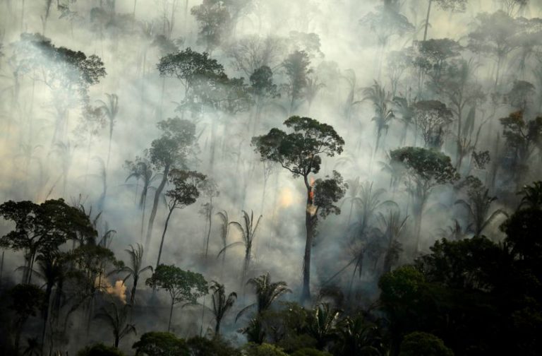 LYNXMPEG702B1.jpg,Foto de archivo. Incendios en un área de la selva amazónica cerca de Porto Velho, Rondonia, Brasil. 10 de septiembre de 2019. REUTERS/Bruno Kelly/; Crédito: Bruno Kelly, Reuters