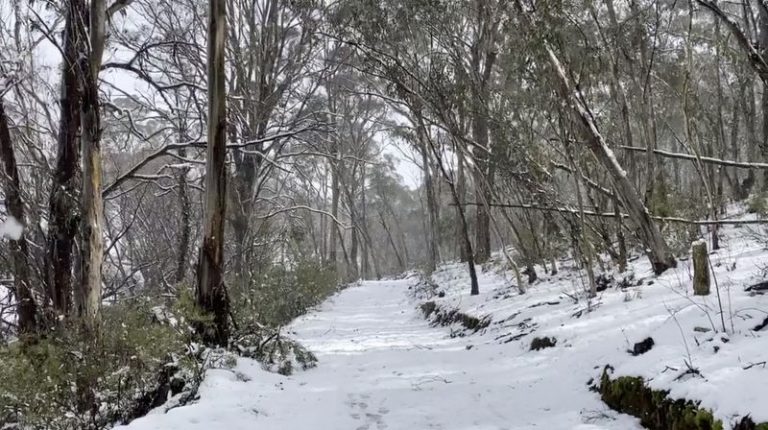 LYNXMPEG7L0CZ.jpg,Imagen de un camino nevado extraida de un video de redes sociales en Oberon, Nueva Gales del Sur, Australia. 22 agosto 2020. Tracey Johns/vía Reuters. ESTA IMAGEN FUE ENTREGADA POR UNA TERCERA PARTE. PROHIBIDO REVENTAS Y ARCHIVO.; Crédito: Tracey Johns, Reuters
