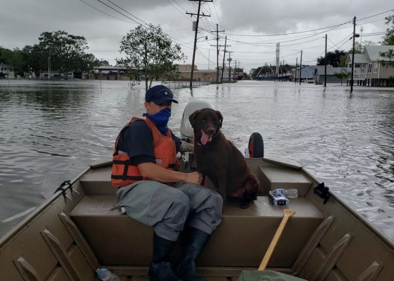 LYNXMPEG7R1CS.jpg,Un efectivo de la guardia costera rescata a un perro de las calles inundadas en Delcambre, Luisiana, después del paso de la tormenta Laura. U.S. Coast Guard/Handout via REUTERS. ATENCIÓN EDITORES: ESTA IMAGEN FUE PROVISTA POR UNA TERCERA PARTE.; Crédito: US COAST GUARD, Reuters