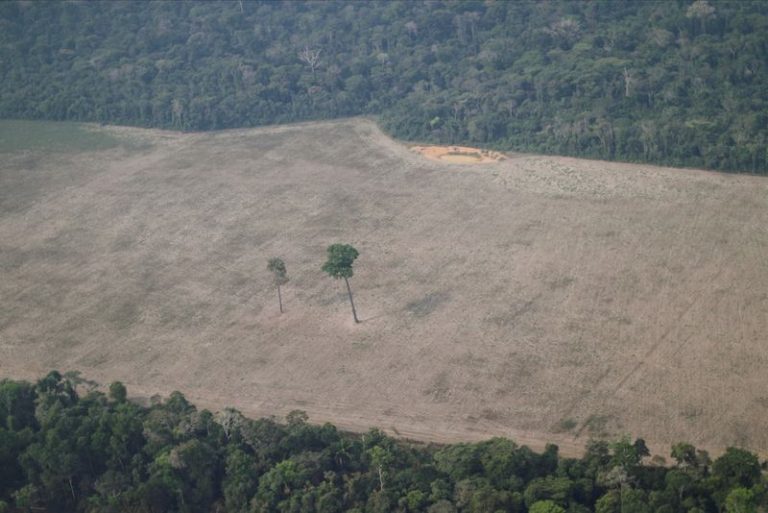 LYNXMPEG7R1P8.jpg,FOTO DE ARCHIVO: Área deforestada de la selva amazónica cerca de Porto Velho
14/08/2020
REUTERS/Ueslei Marcelino; Crédito: UESLEI MARCELINO, Reuters