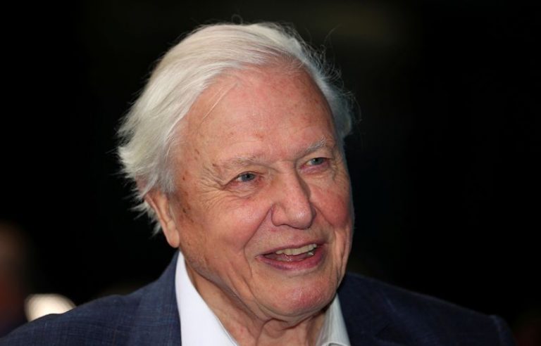 LYNXMPEG8T1P6.jpg,El locutor y cineasta David Attenborough asiste al estreno de Blue Planet II en el British Film Institute de Londres, Gran Bretaña, 27 septiembre 2017.
REUTERS/Hannah McKay; Crédito: HANNAH MCKAY, Reuters