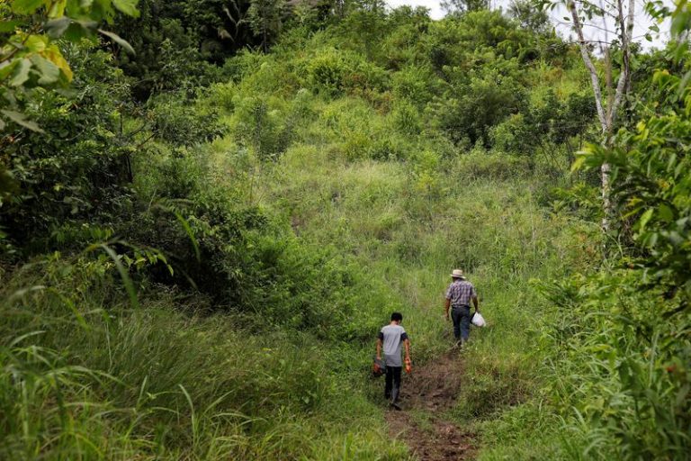 LYNXNPEG8N13C.jpg,FOTO DE ARCHIVO. Imagen referencial de dos personas caminando por Petén, Guatemala. 5 de septiembre de 2020. REUTERS/Luis Echeverria; Crédito: LUIS ECHEVERRIA, Reuters
