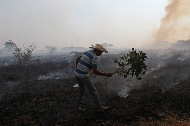 LYNXMPEG904KB.jpg,Imagen de archivo Dorvalino Conceicao Camargo, de 56 años y quien trabaja en un rancho, intentando apagar un incendio con una rama en Pantanal, el mayor humedal del mundo, en Pocone, estado de Mato Grosso, Brasil. 28 de agosto, 2020. REUTERS/Amanda Perobelli/Archivo; Crédito: AMANDA PEROBELLI, Reuters