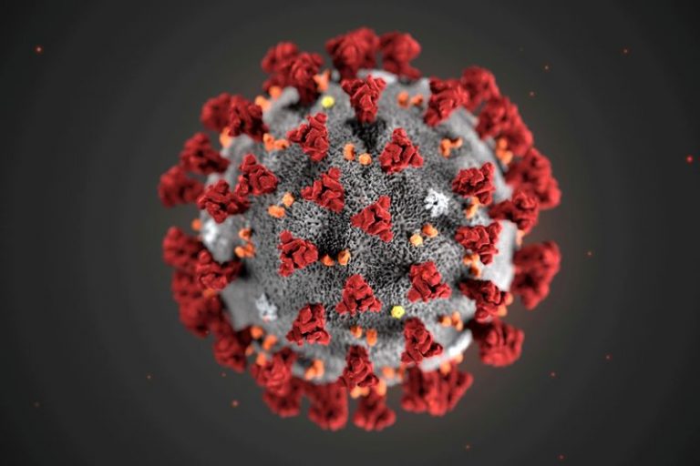 LYNXMPEG9724U.jpg,Una ilustración, creada en los Centros para el Control y la Prevención de Enfermedades (CDC) de Estados Unidos, muestra el nuevo coronavirus de 2019, en Atlanta, Georgia, EEUU. Enero 29, 2020. Alissa Eckert, MS; Dan Higgins, MAM/CDC/Distribuida vía REUTERS.  ; Crédito: Handout ., Reuters