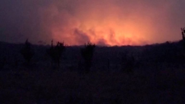 LYNXMPEG972B6.jpg,El humo se eleva entre los árboles de un bosque en Chiquitania, Santa Cruz, Bolivia, September 28, 2020. Imagen tomada de un video del mismo día.. Bolivia TV/via REUTERS TV  ATTENTION EDITORS - THIS IMAGE HAS BEEN SUPPLIED BY A THIRD PARTY. NO RESALES. NO ARCHIVES; Crédito: REUTERS TV, Reuters