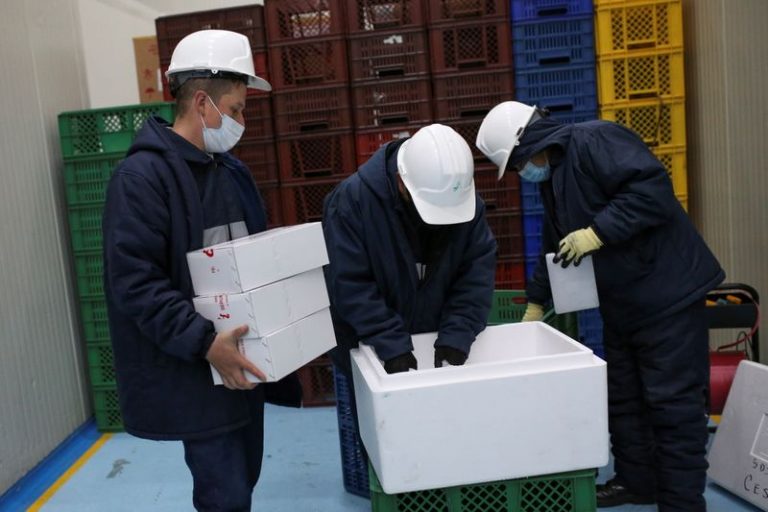 LYNXMPEG9N0HE.jpg,Empleados trabajan dentro de una bódega del Ministerio de Salud colombiano, donde se almacenará una eventual vacuna contra  el COVID-19), en Bogotá, Colombia,  20 de octubre,  2020. REUTERS/Luisa González; Crédito: LUISA GONZALEZ, Reuters