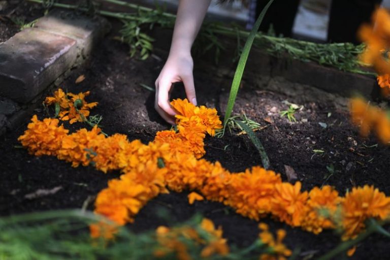 LYNXMPEGA00Q2.jpg,Foto de archivo. Una persona decora la tumba de un familiar en el cementerio de Xilotepec antes de la celebración del Día de Muertos, en Xochimilco, en las afueras de la Ciudad de México. REUTERS/Henry Romero; Crédito: HENRY ROMERO, Reuters
