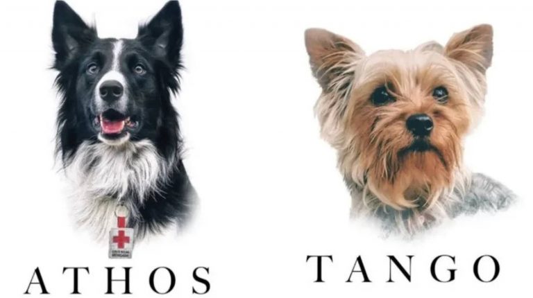 Screenshot 2023-01-08 at 23.38.30