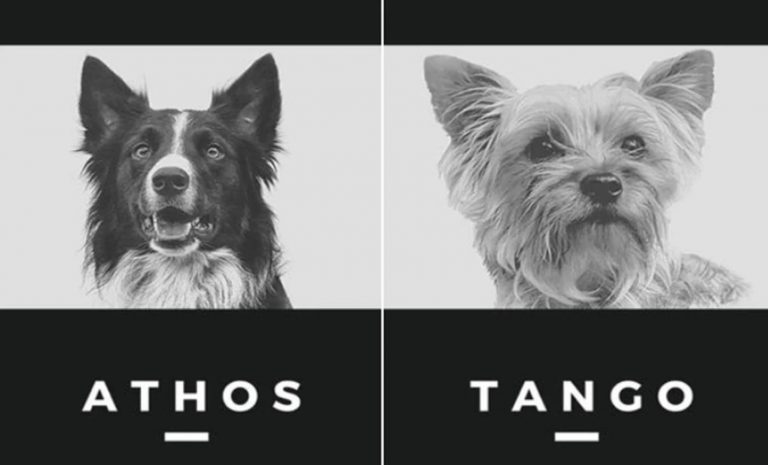 Screenshot 2023-01-09 at 23.47.43